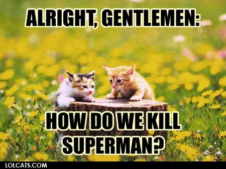 lolcatsdotcomhf6rj5o9dd3hg.jpg