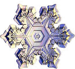 snow_flake.gif