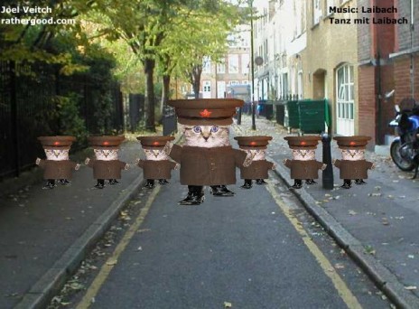 cats.JPG