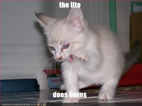 The_Lite.jpg