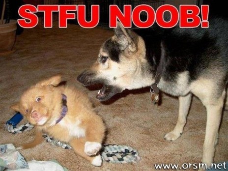 NOOBdogz.jpg
