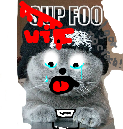 WTF.jpg