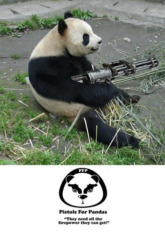 pandas_need_guns.jpg