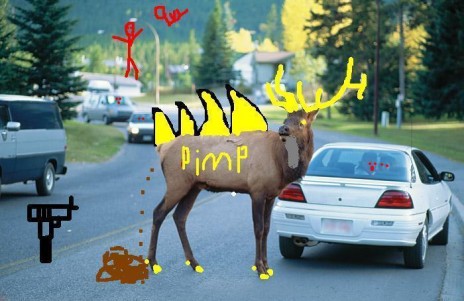 pimp_moose.JPG