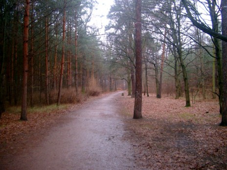 neu.jpg