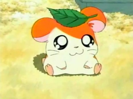 hamtaro_so_cute1.jpg