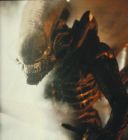 alien.jpg