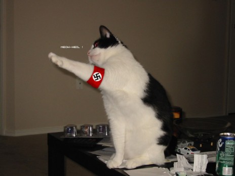 Nazi_Cat.jpg