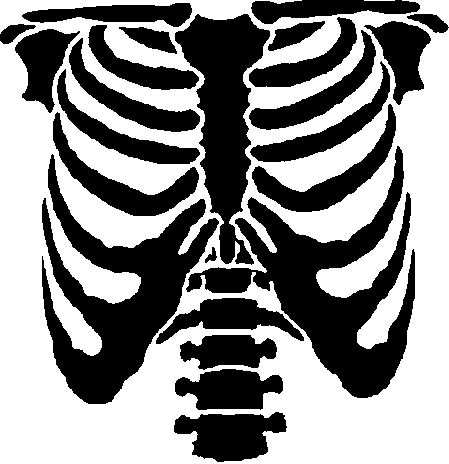 ribcage.gif