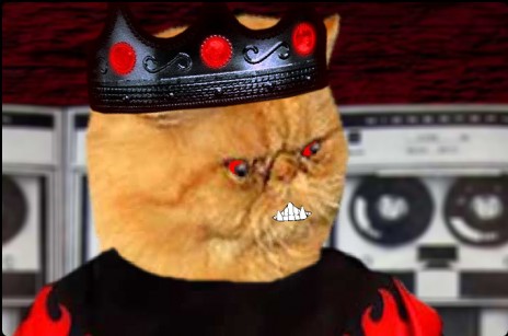 endcat.jpg