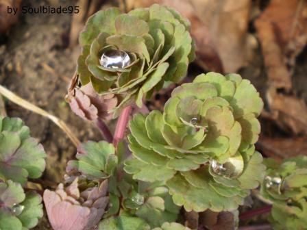 P3140071_4.JPG