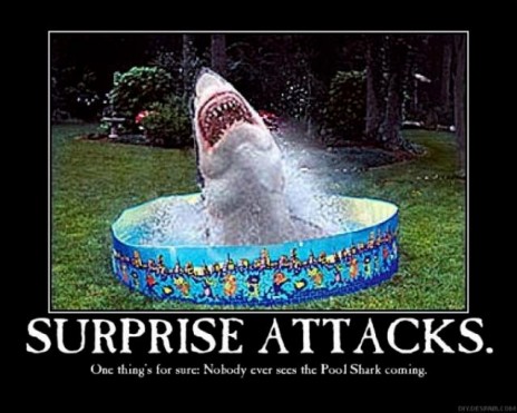 SHARK_.JPG