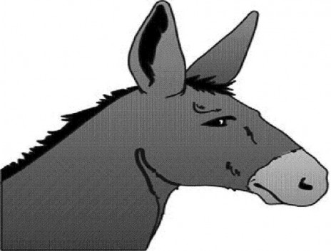 Donkey_head_g.jpg