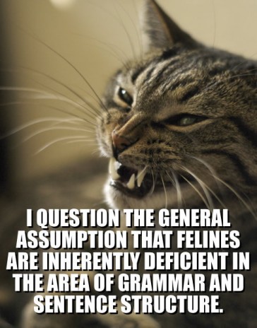 lolcat_i_question_the_gene.jpg