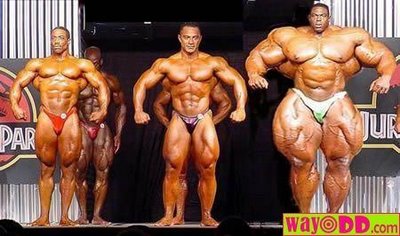 funny_pictures_steroids_na.jpg