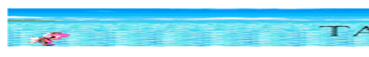 Taoa_banner.gif