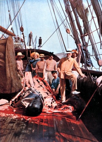 Whaling_french_and_dead_w.jpeg