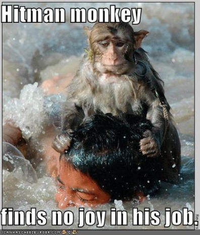 funny_pictures_hitman_monk.jpg