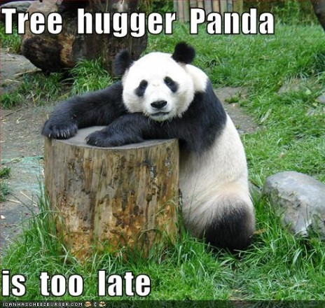 funny_pictures_tree_hugger.jpg
