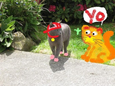 teddy_kat_ganster.jpg