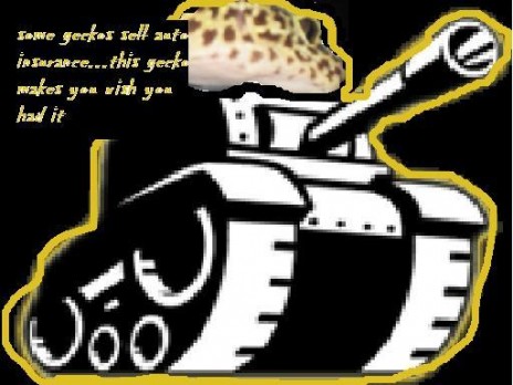 gecko_tank.JPG