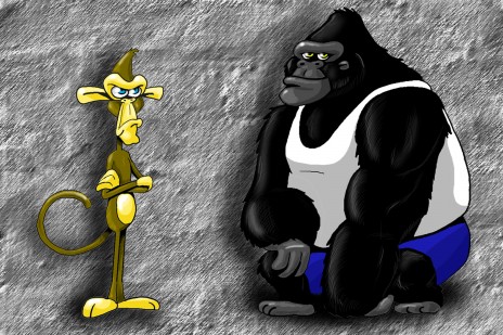 APES_FRONT.jpg