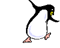 funky_penguin.gif