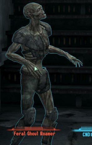 oh_look__a_fly_.JPG