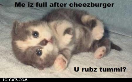 Cute_Kitty.jpg