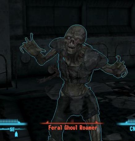 boo.JPG