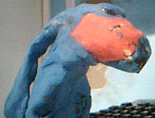 phyn_screeny.GIF