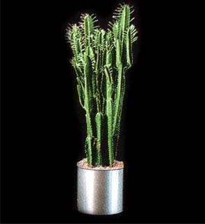 candelabra.jpg