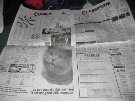 Cat_in_Paper.jpg