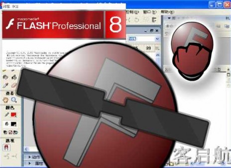 flash8.jpg