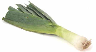 leek.jpg