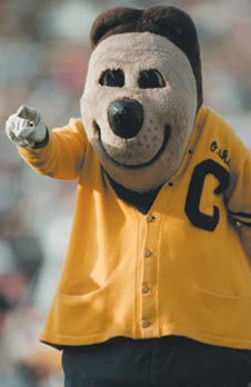 oski_trads.jpg
