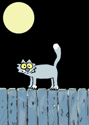 scaredy_cat_bf16.gif
