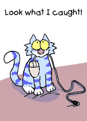 mouser_bf24.gif
