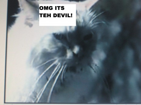 teh_devil.JPG