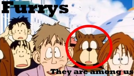 furrys.jpg