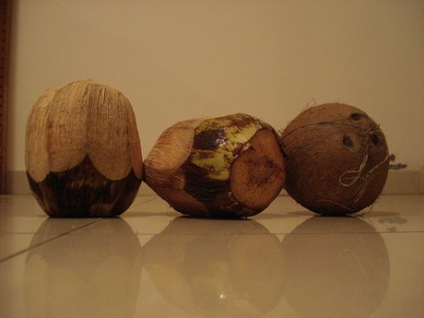Coconuts.jpg