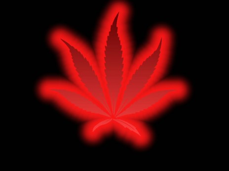 red_pot_leaf_wallpaper_mar.jpg