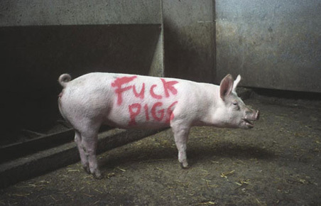fuckpigs.jpg