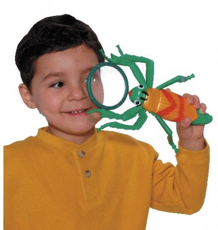 images_products_Insect_Lor.jpg