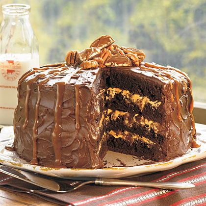 chocolate_cake_oh_1727433_.jpg