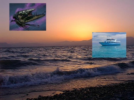 86874_shopped.jpg