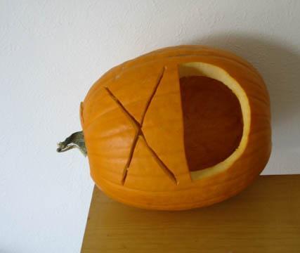 XD.JPG