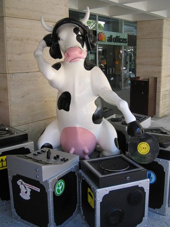 DJ_cow.jpg