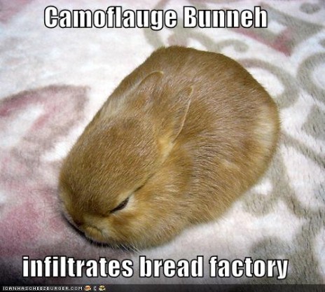 funny_pictures_bread_camof.jpg