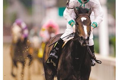 Rachel_Alexandra.jpg